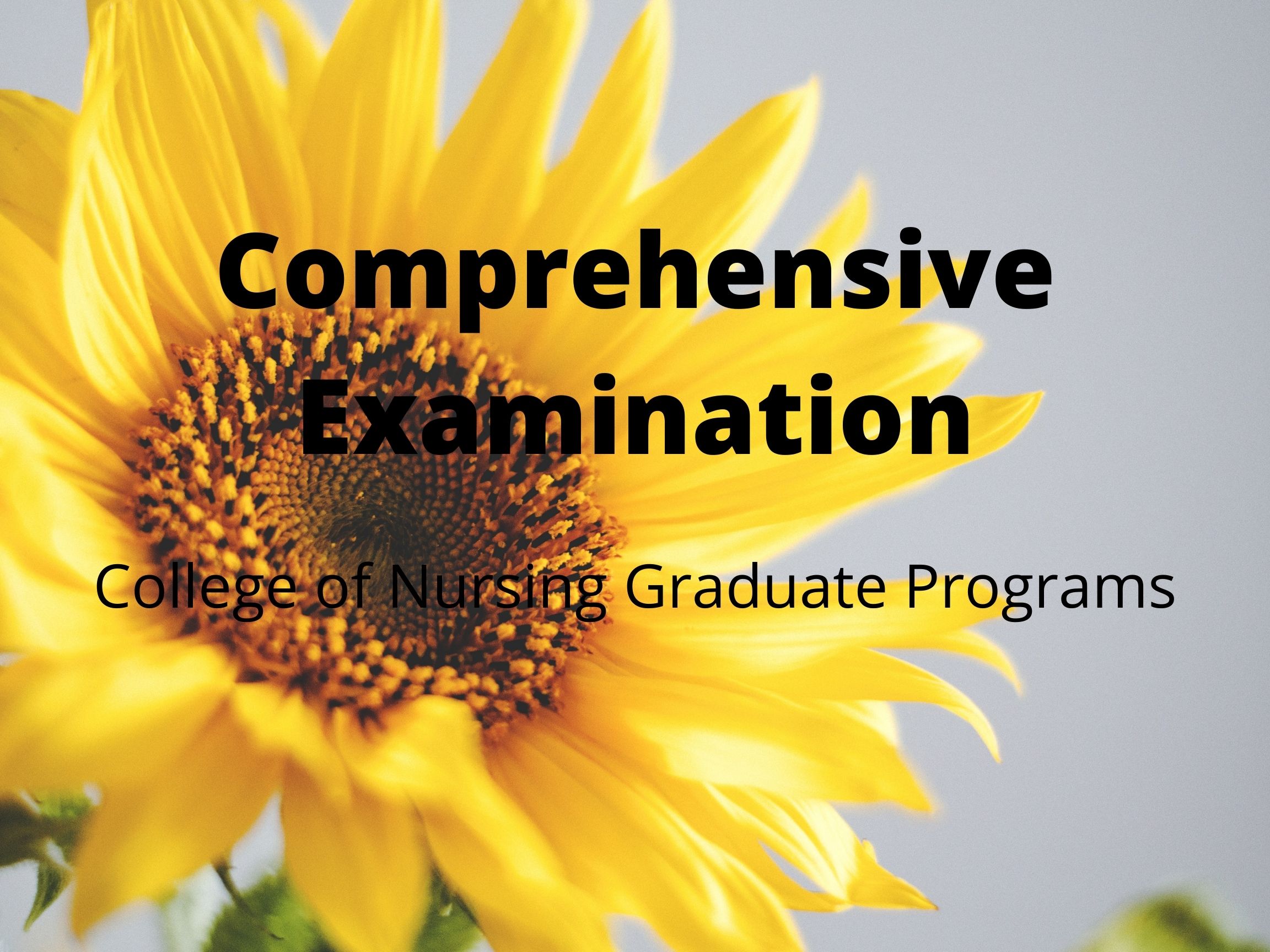 comprehensive-examination